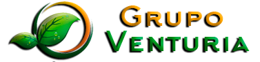 GRUPO VENTURIA